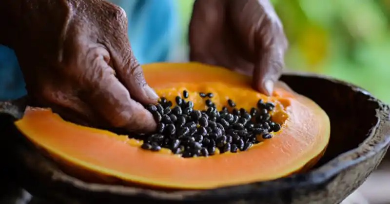 The Powerful Health Benefits of Papaya Seeds: Why You Should Include Them in Your Diet 5 download 15 6